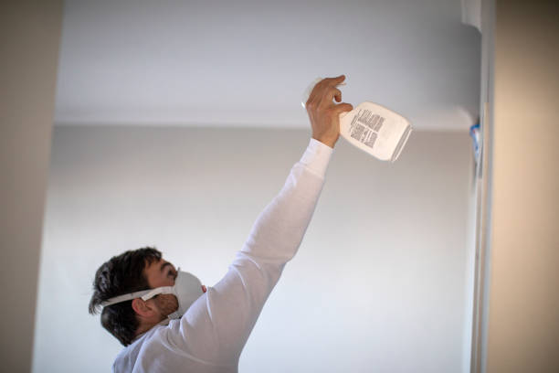 Best Fast Mold Removal  in Unionville, GA