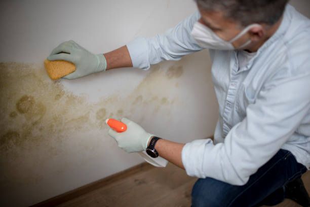 Crawl Space Mold Removal in Unionville, GA
